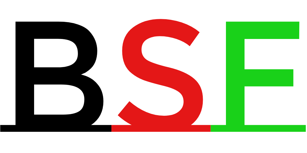 Big Software Foundation Logo
